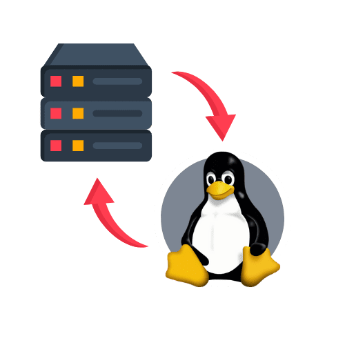 Linux Hosting Fiyatları
