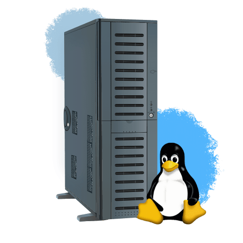 Linux Hosting Paketleri