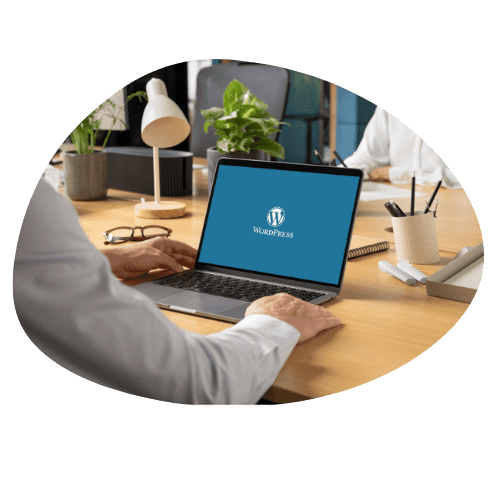 Wordpress Hosting Fiyatları