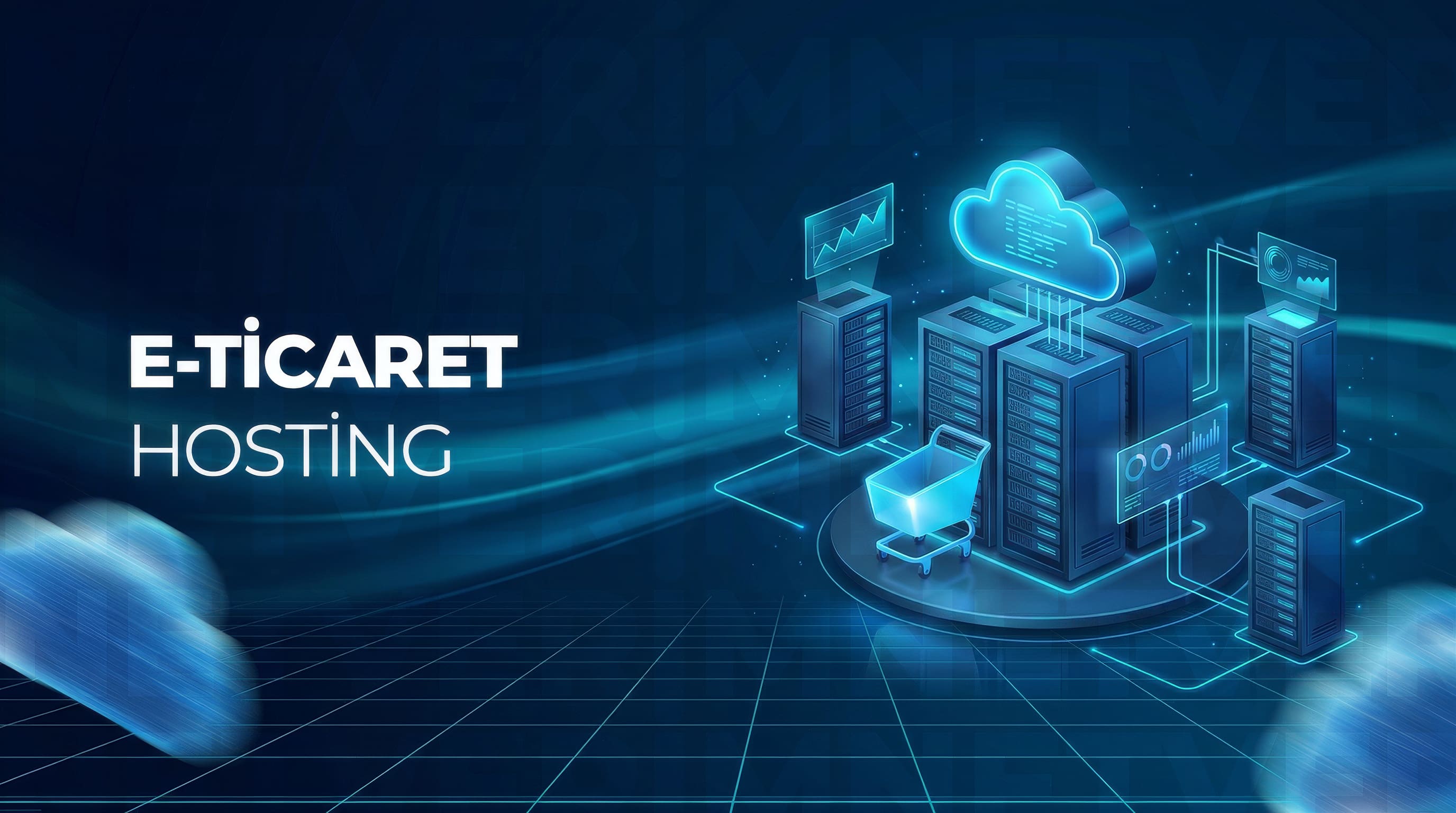 ETicaret Hosting