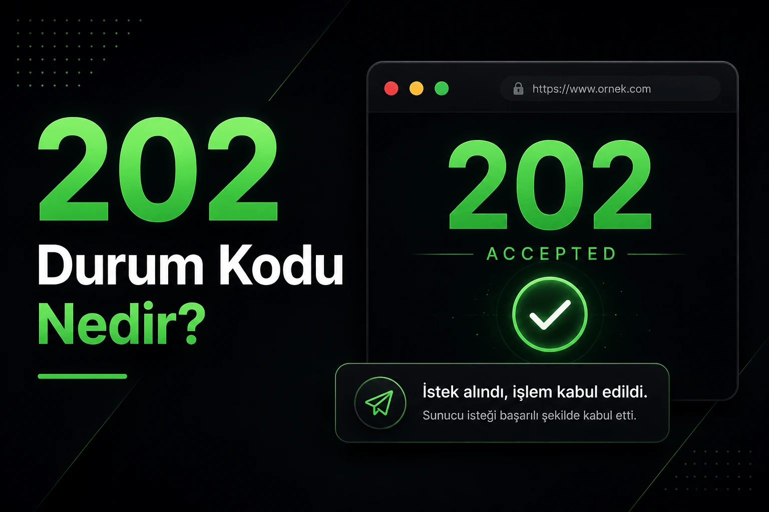 202 Durum Kodu Nedir?